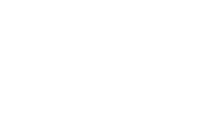 Birmingham City Council